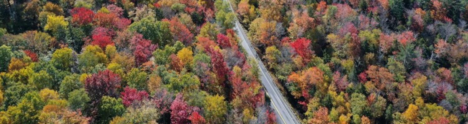 Bird's Eye View of a Road